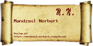 Mandzsul Norbert névjegykártya